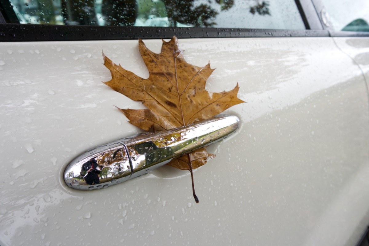 Lifehack für Autofahrer: Freie Sicht im Herbst und Winter mit