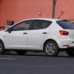 Probleme mit dem Seat Ibiza IV